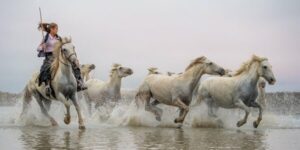 Photo en tirage limité. Série chevaux de camargue de Michèle Gabet Photographie. gardian sur son cheval au galop sur la plage