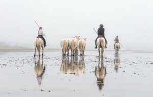 Photo en tirage limité. Série chevaux de camargue de Michèle Gabet Photographie. 3 gardians encadrent un troupeau de juments vu de dos