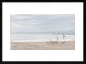 Photo de paysage de mer dans la brume en tirage limité. bord de mer branche sur la plage. Michèle Gabet Photographie