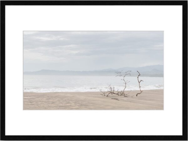 Photo de paysage de mer dans la brume en tirage limité. bord de mer branche sur la plage. Michèle Gabet Photographie