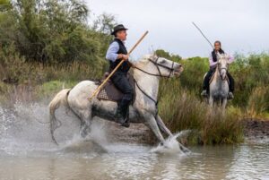 Photo en tirage limité en noir et blanc. Série chevaux de camargue de Michèle Gabet Photographie. 2 gardians père et sa fille. arrêt brutal du cheval