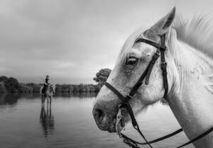 Photo en tirage limité en noir et blanc. Série chevaux de camargue de Michèle Gabet Photographie. double portrait. cheval de profil au premier plan et gardiane en arrière plan