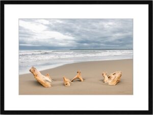 Photo de paysage en tirage limité. plage au costa rica avec un bois flotté échoué sur le sable. Michèle Gabet Photographie