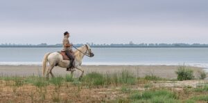 Photo en tirage limité. Série chevaux de camargue de Michèle Gabet Photographie. gardian sur son cheval au petit trot en bord de mer