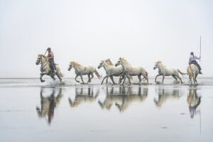 Photo en tirage limité. Série chevaux de camargue de Michèle Gabet Photographie. 2 gardians menant troupeau de 5 chevaux dans la mer qui se reflète dans l'eau