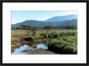 Photo de paysage du costa rica en tirage limité. cultures et vue sur montagnes. Michèle Gabet Photographie