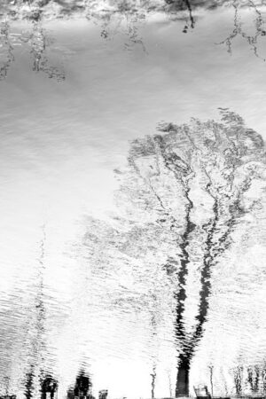 Photo en tirage limité. Série Waterworld de Michèle Gabet Photographie. paysage qui se reflète dans l'eau