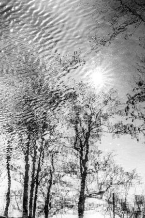 Photo en tirage limité. Série Waterworld de Michèle Gabet Photographie. paysage qui se reflète dans l'eau