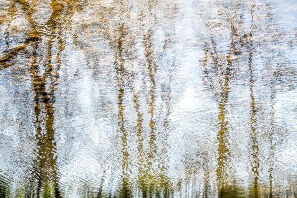 Photo en tirage limité. Série Waterworld de Michèle Gabet Photographie. paysage qui se reflète dans l'eau