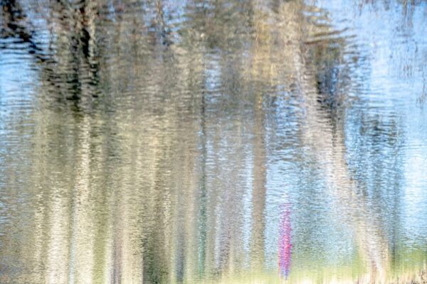 Photo en tirage limité. Série Waterworld de Michèle Gabet Photographie. paysage qui se reflète dans l'eau