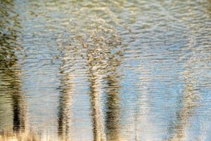 Photo en tirage limité. Série Waterworld de Michèle Gabet Photographie. paysage qui se reflète dans l'eau