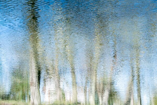 Photo en tirage limité. Série Waterworld de Michèle Gabet Photographie. paysage qui se reflète dans l'eau