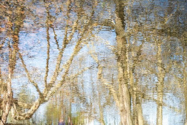 Photo en tirage limité. Série Waterworld de Michèle Gabet Photographie. paysage qui se reflète dans l'eau