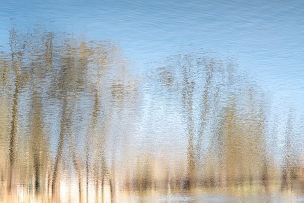 Photo en tirage limité. Série Waterworld de Michèle Gabet Photographie. paysage qui se reflète dans l'eau