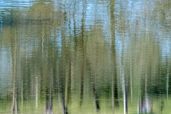 Photo en tirage limité. Série Waterworld de Michèle Gabet Photographie. paysage qui se reflète dans l'eau