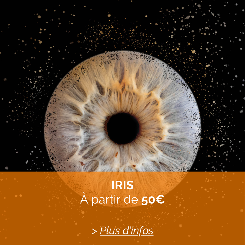 SEANCE PHOTO IRIS. AU STUDIO A RUEIL-MALMAISON. TARIF MICHELE GABET PHOTOGRAPHE